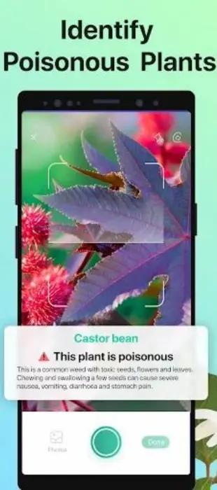 Extensive plant database in Picture This displaying that the plant is poisonous